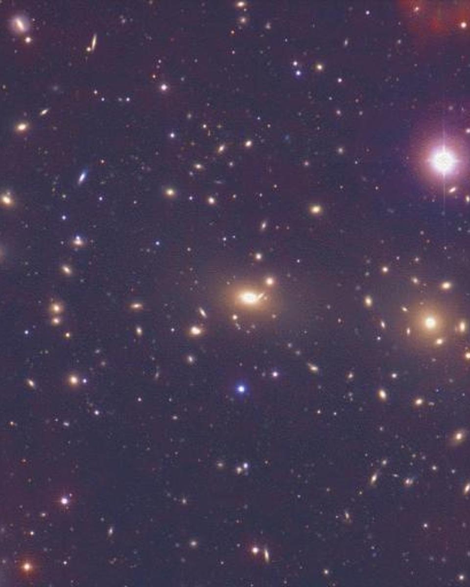 The Coma Cluster of Galaxies