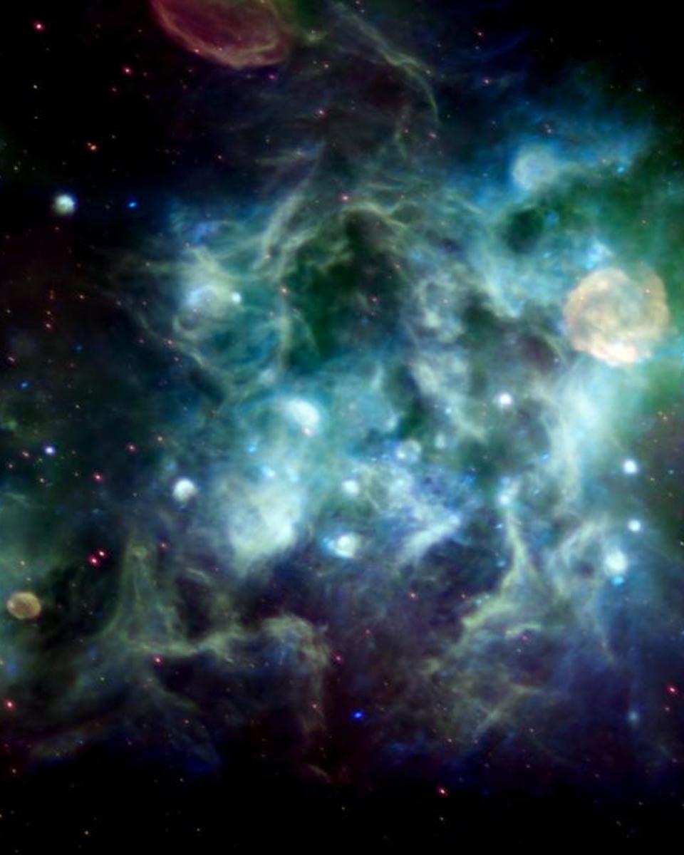 A Radio Vista of Cygnus