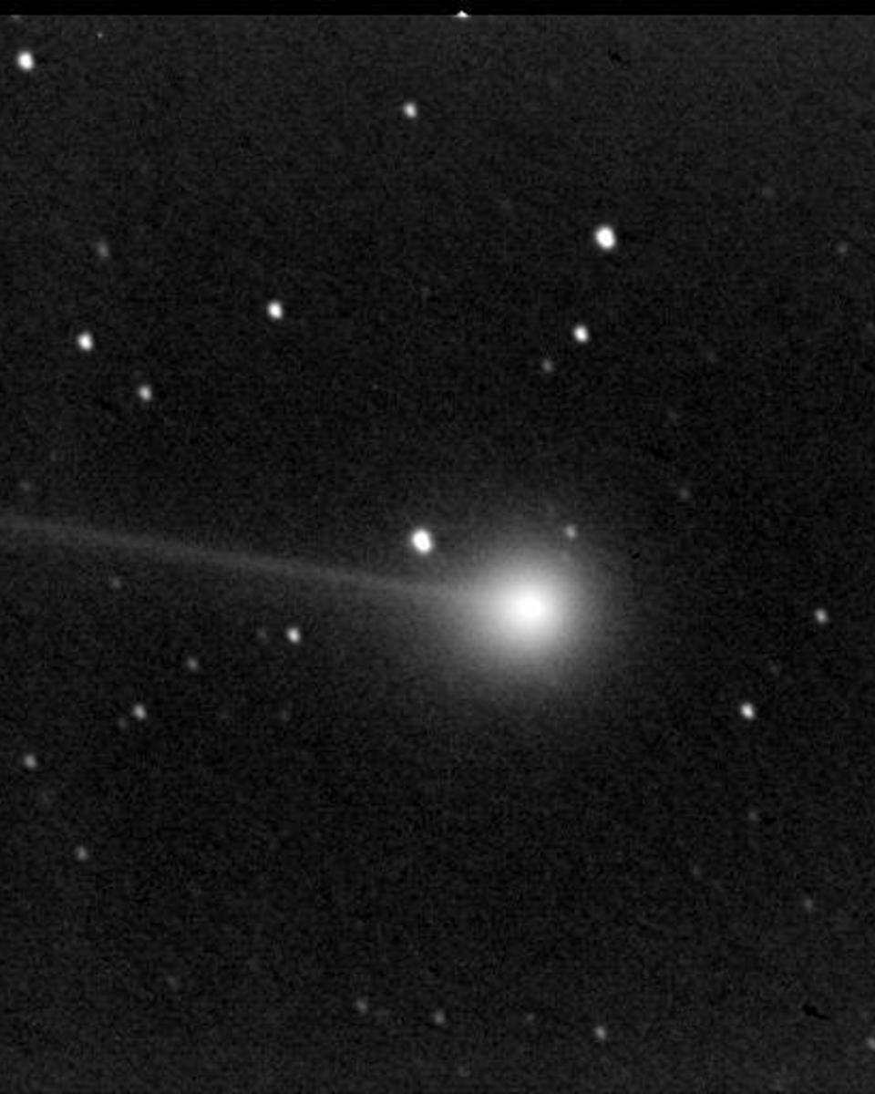 Comet Ikeya-Zhang
