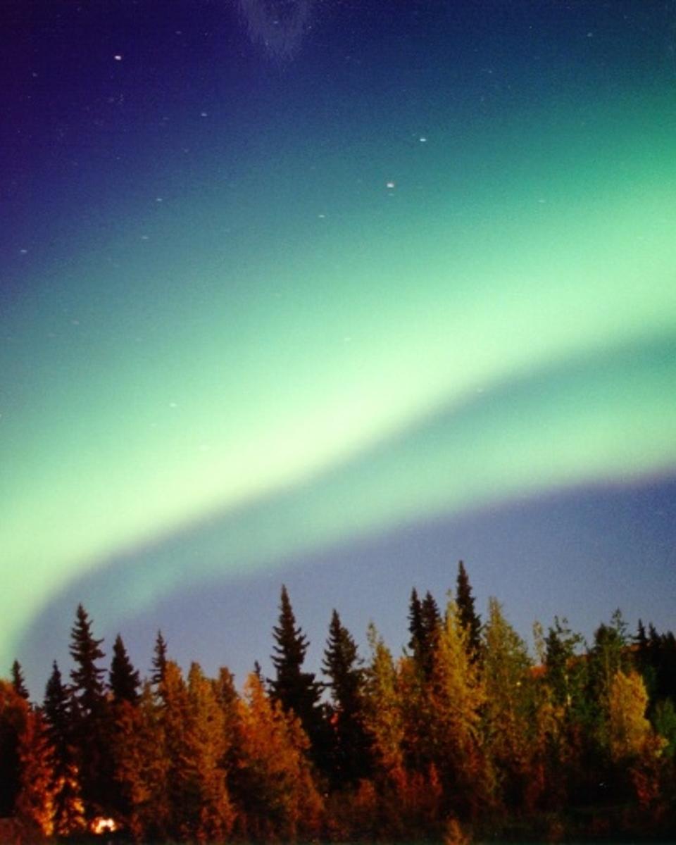 The Secret of the Black Aurora