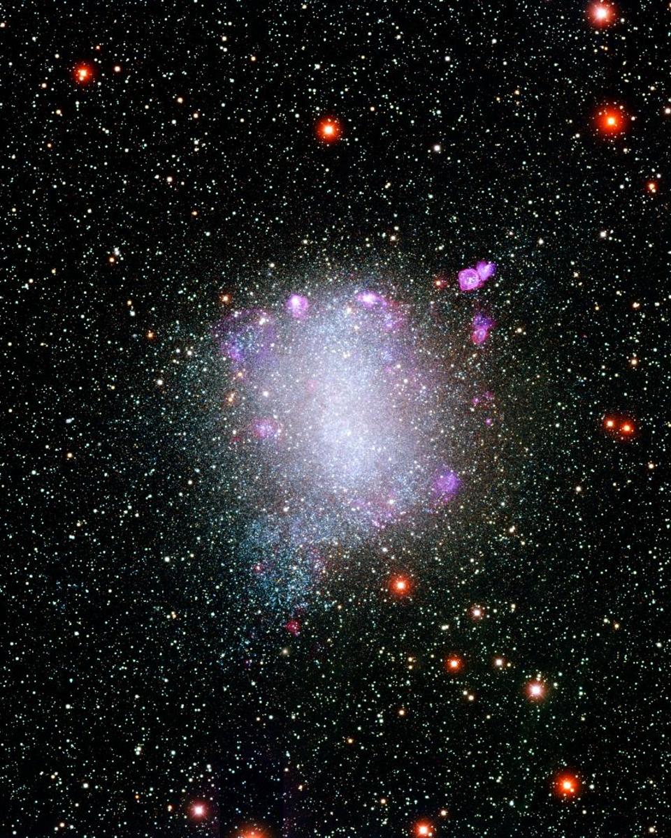 Local Group Galaxy NGC 6822