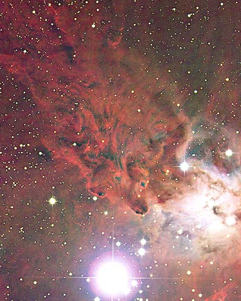 The Fox Fur Nebula