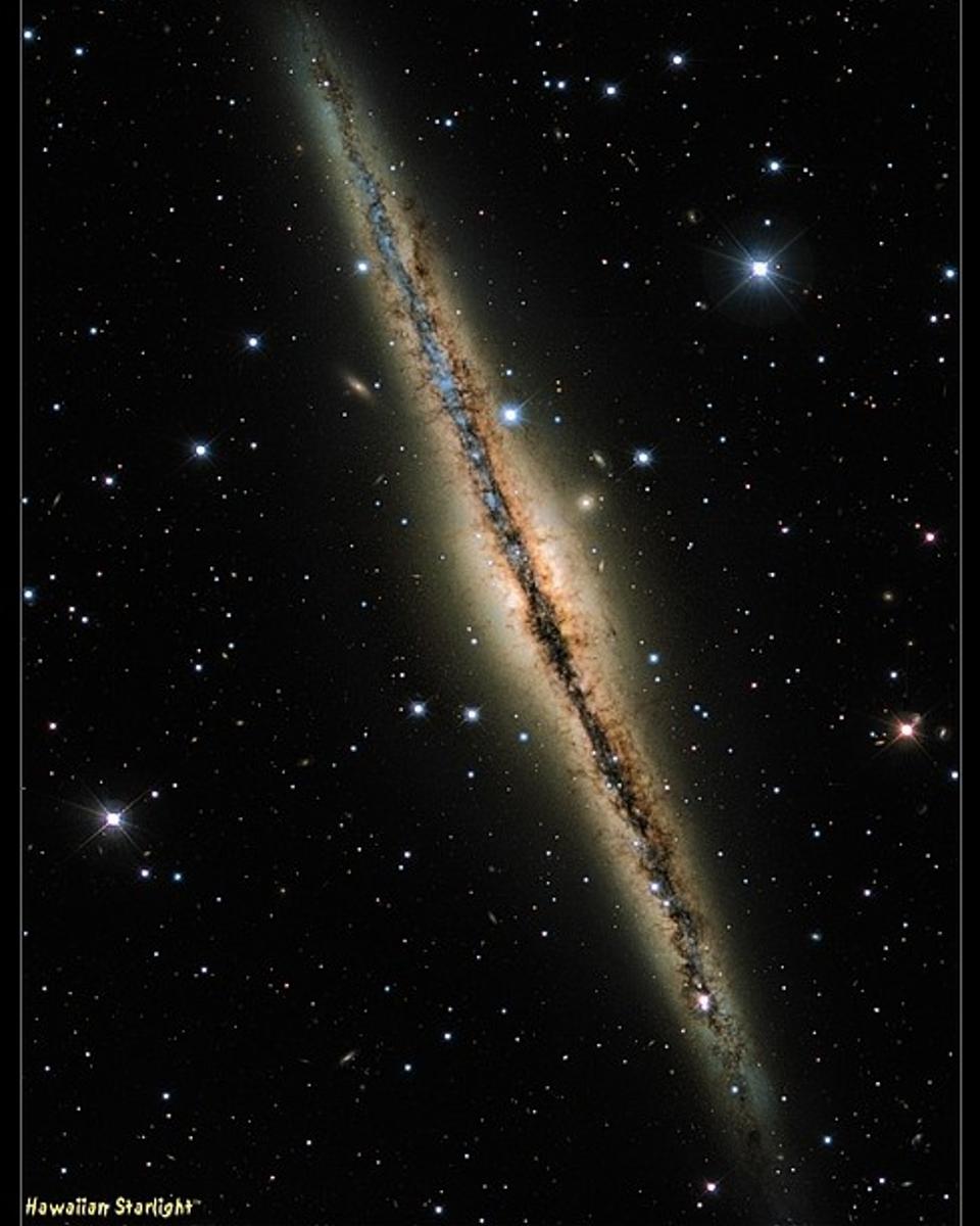 Interstellar Dust Bunnies of NGC 891
