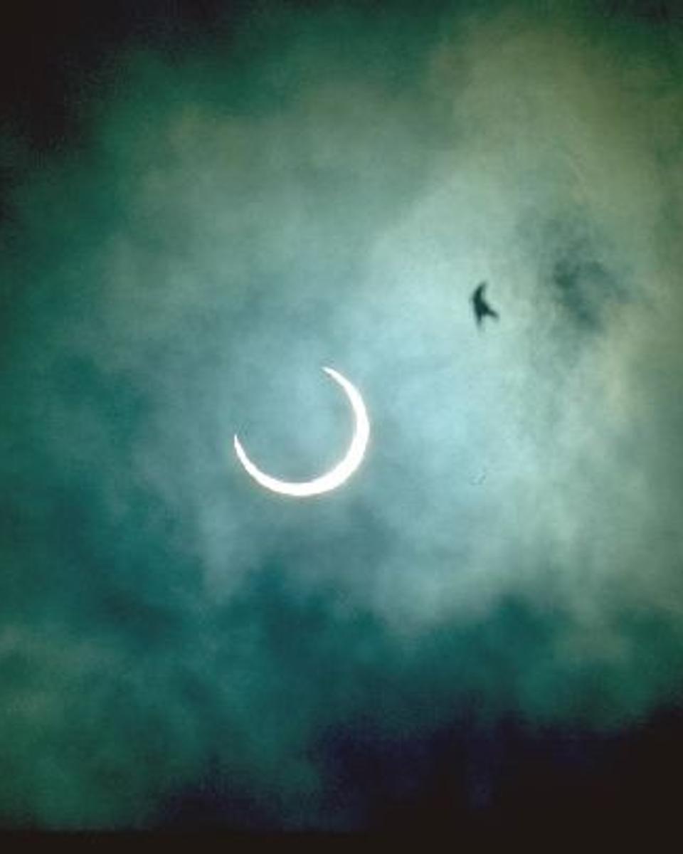 A Fleeting Eclipse