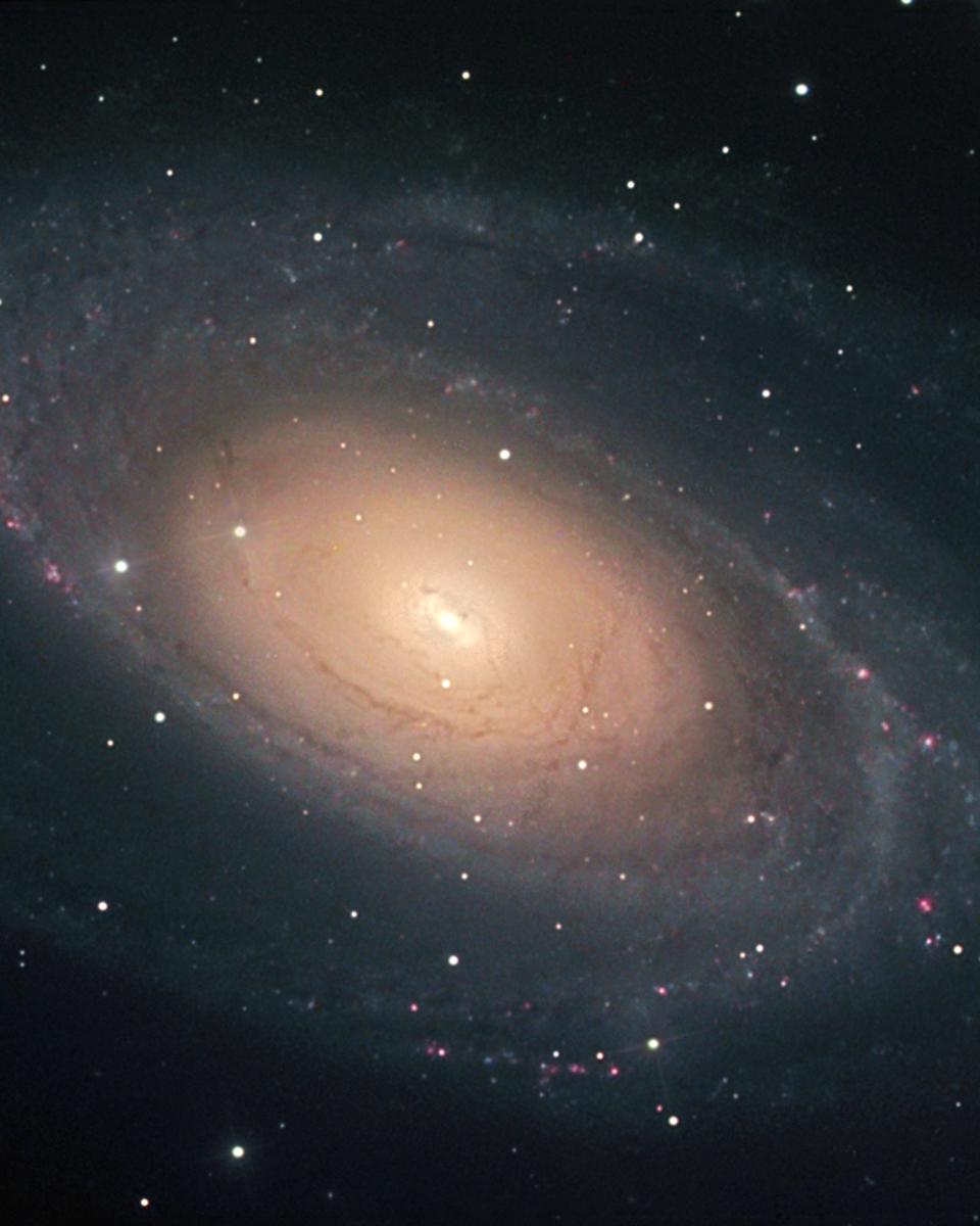 Bright Galaxy M81