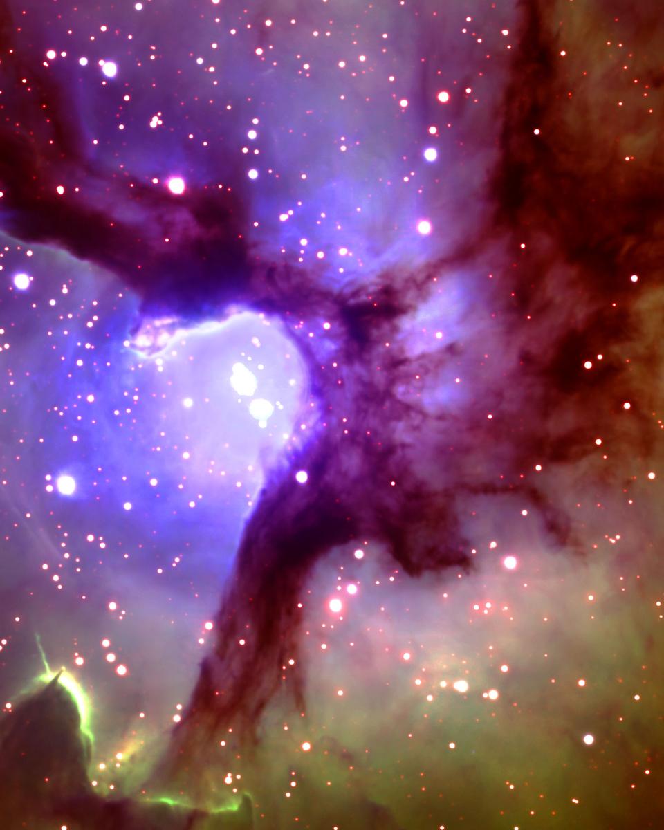 In the Center of the Trifid Nebula