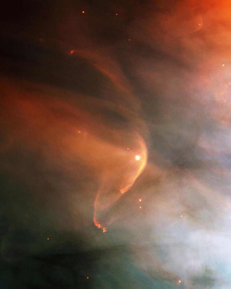 LL Orionis: When Cosmic Winds Collide