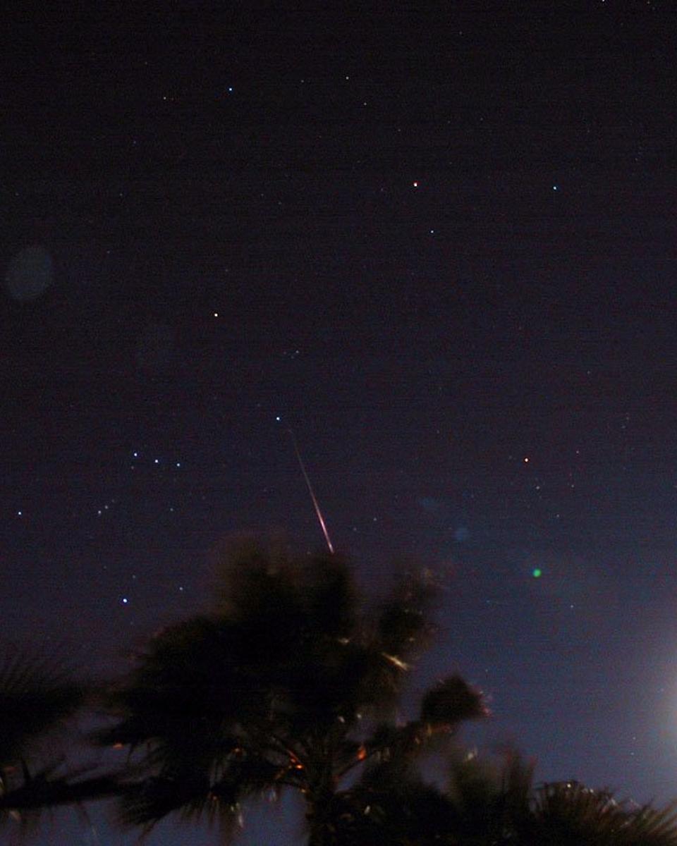 Leonids vs. The Moon