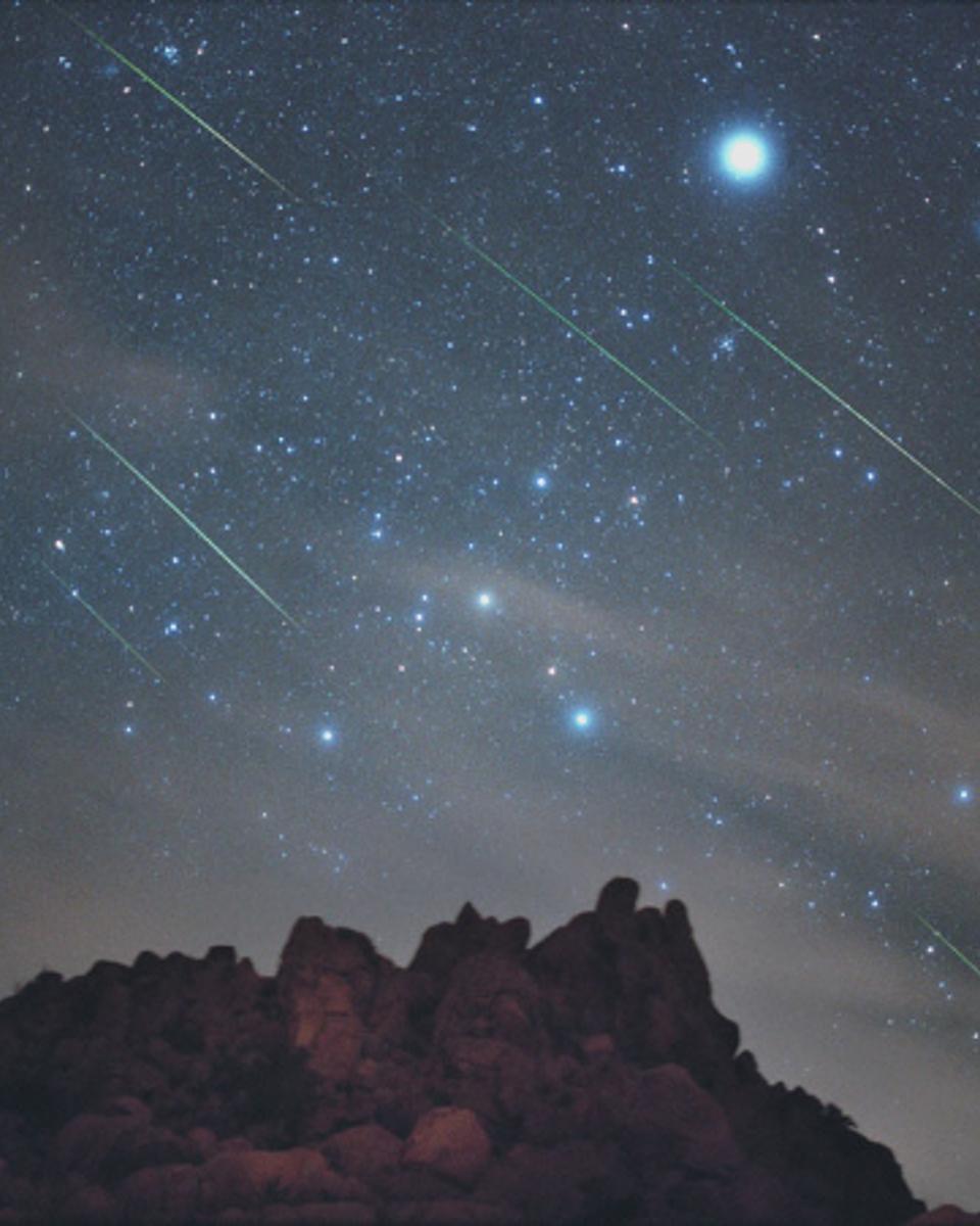 Leonids Over Joshua Tree National Park