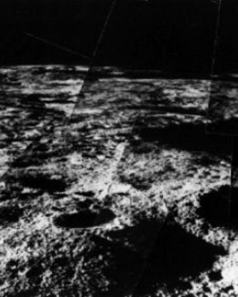 Surveyor Hops