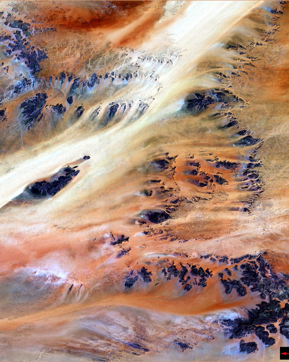 Terkezi Oasis in the Sahara Desert