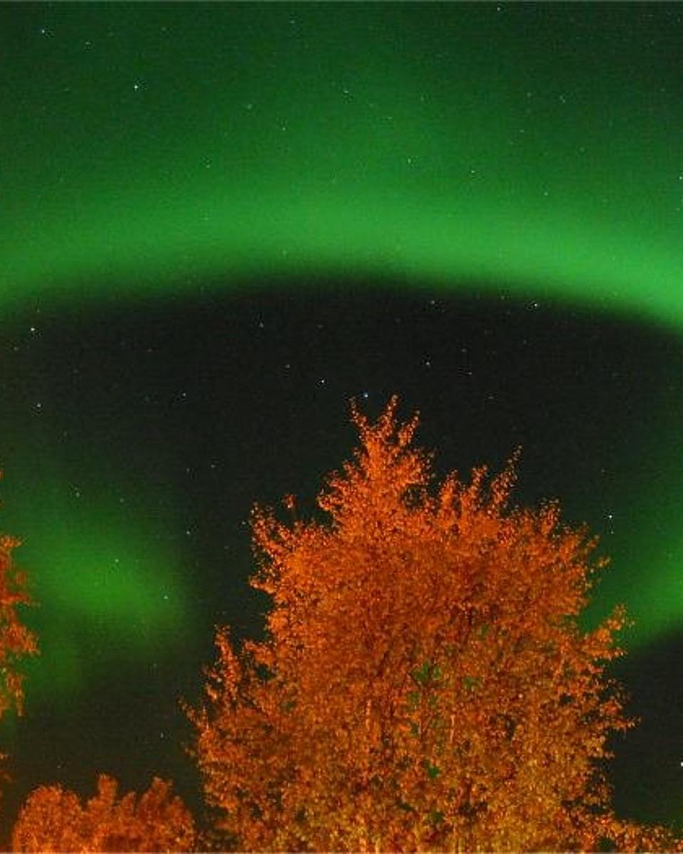 Aurora's Ring