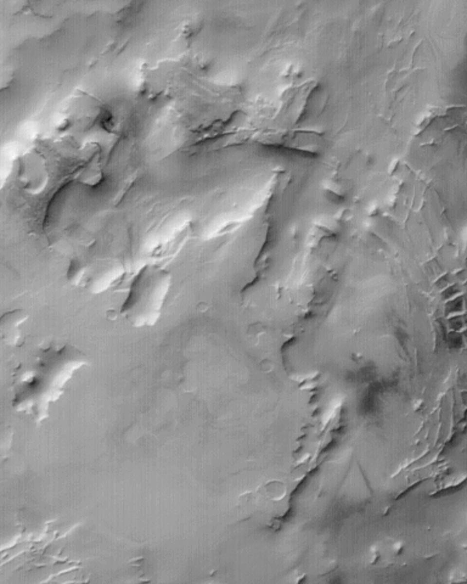 Rectangular Ridges on Mars