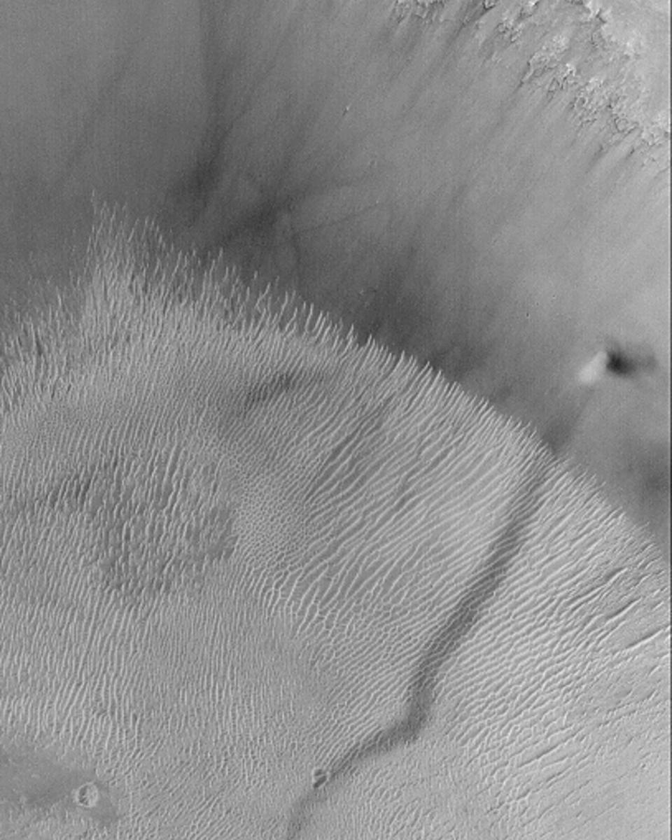 A Dust Devil on Mars