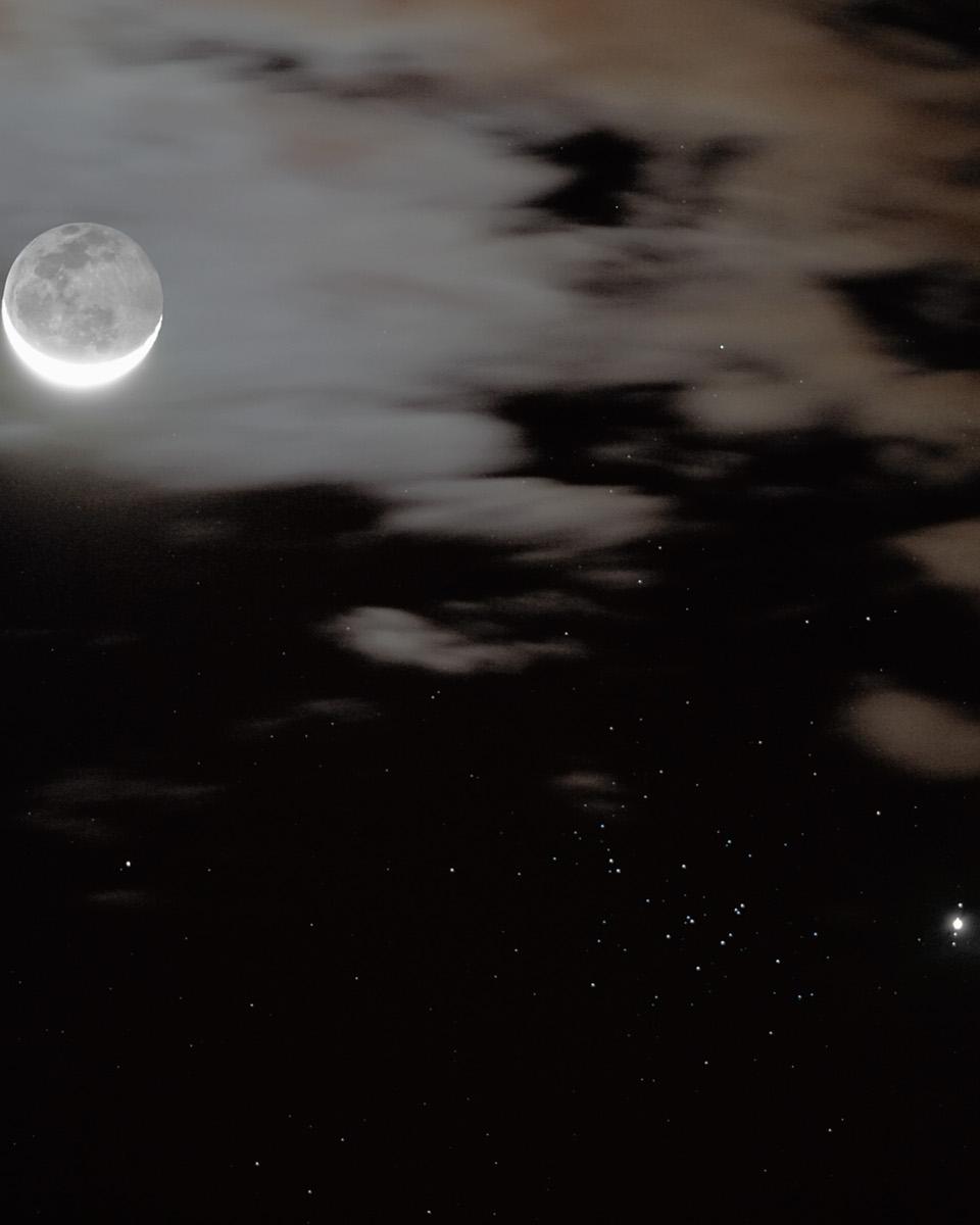 Jupiter, Moons and Bees