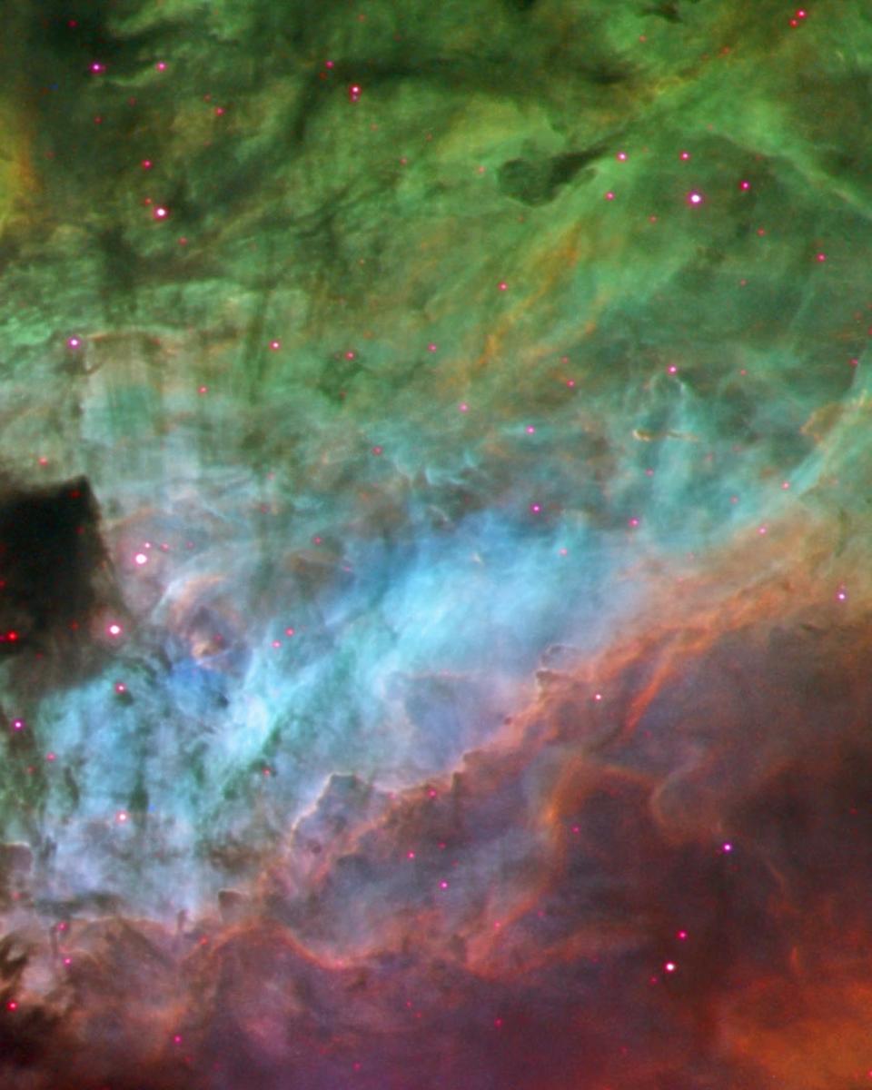 Elements of the Swan Nebula