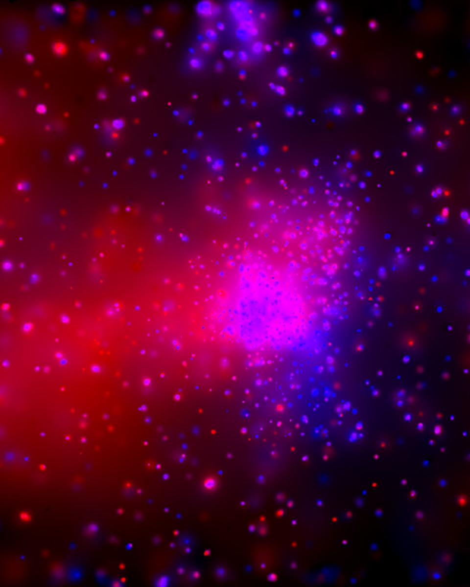 X-Rays from M17