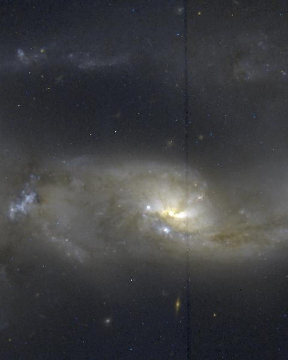 Arp 81: 100 Million Years Later