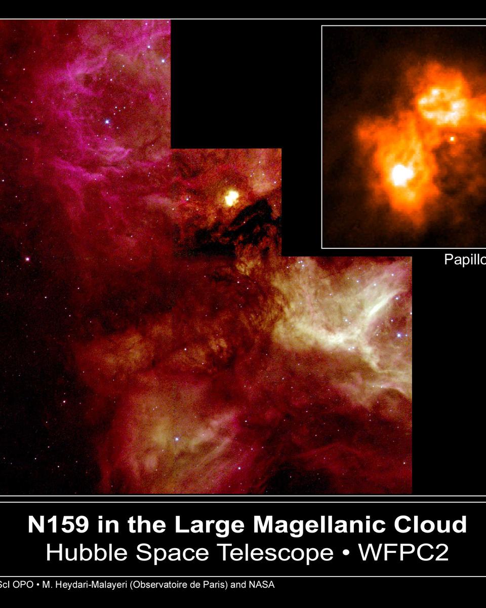 N159 and the Papillon Nebula