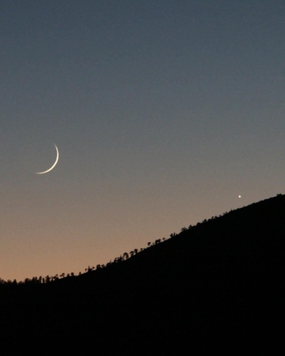 Venus and the 37 Hour Moon