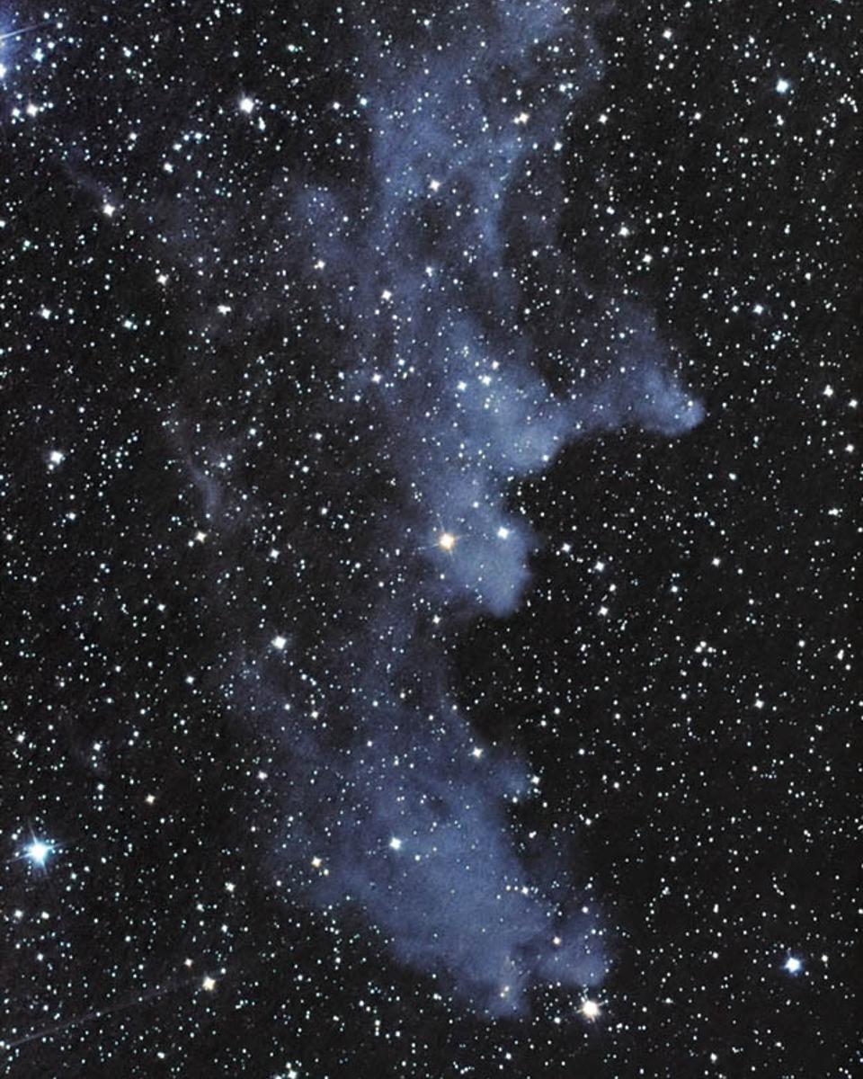The Witch Head Nebula