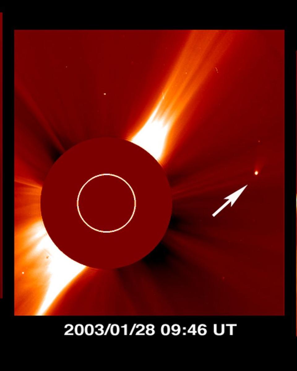 Comet Kudo-Fujikawa: Days in the Sun