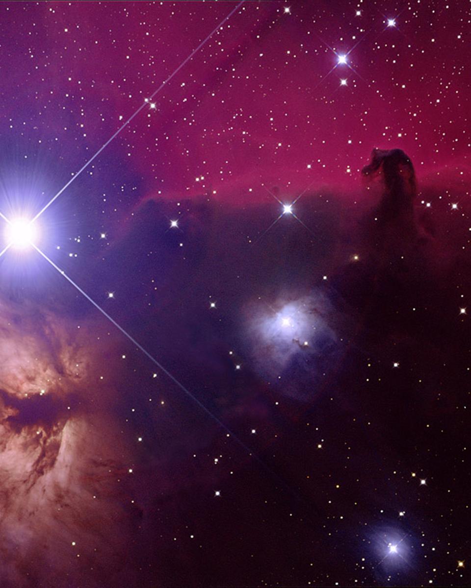 Orion's Horsehead Nebula