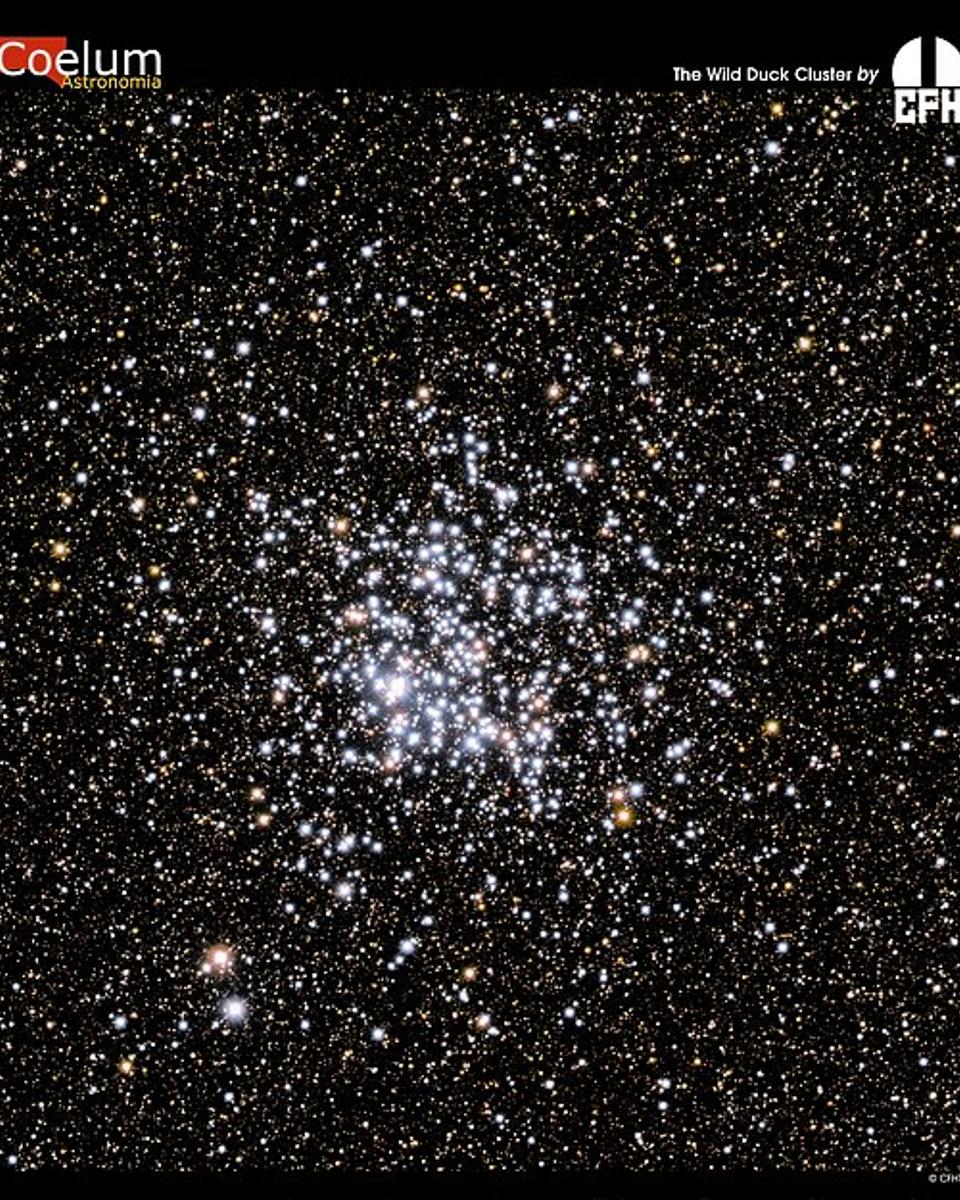 M11: The Wild Duck Cluster