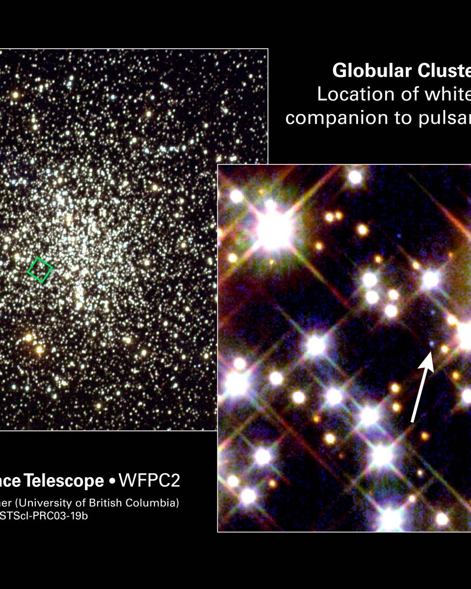 The Planet, the White Dwarf, and the Neutron Star