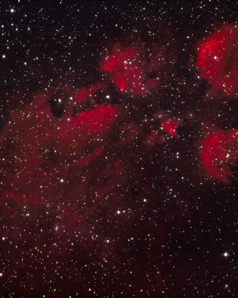 The Cat's Paw Nebula