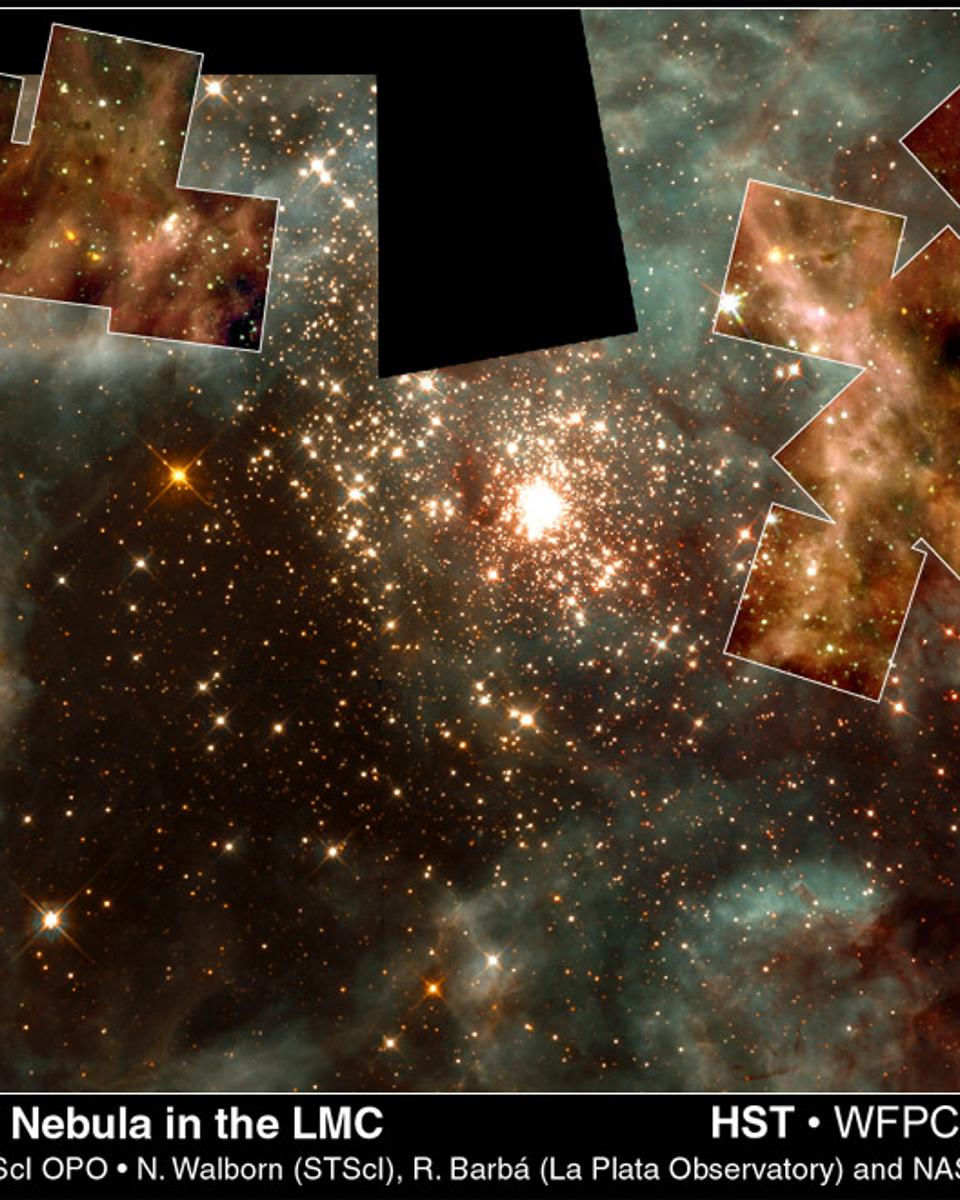 Massive Stars of 30 Doradus