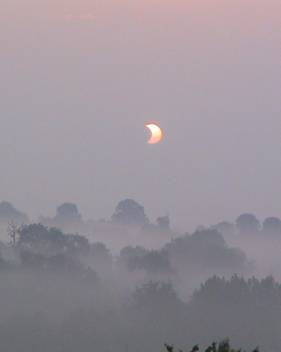 Eclipse in the Mist