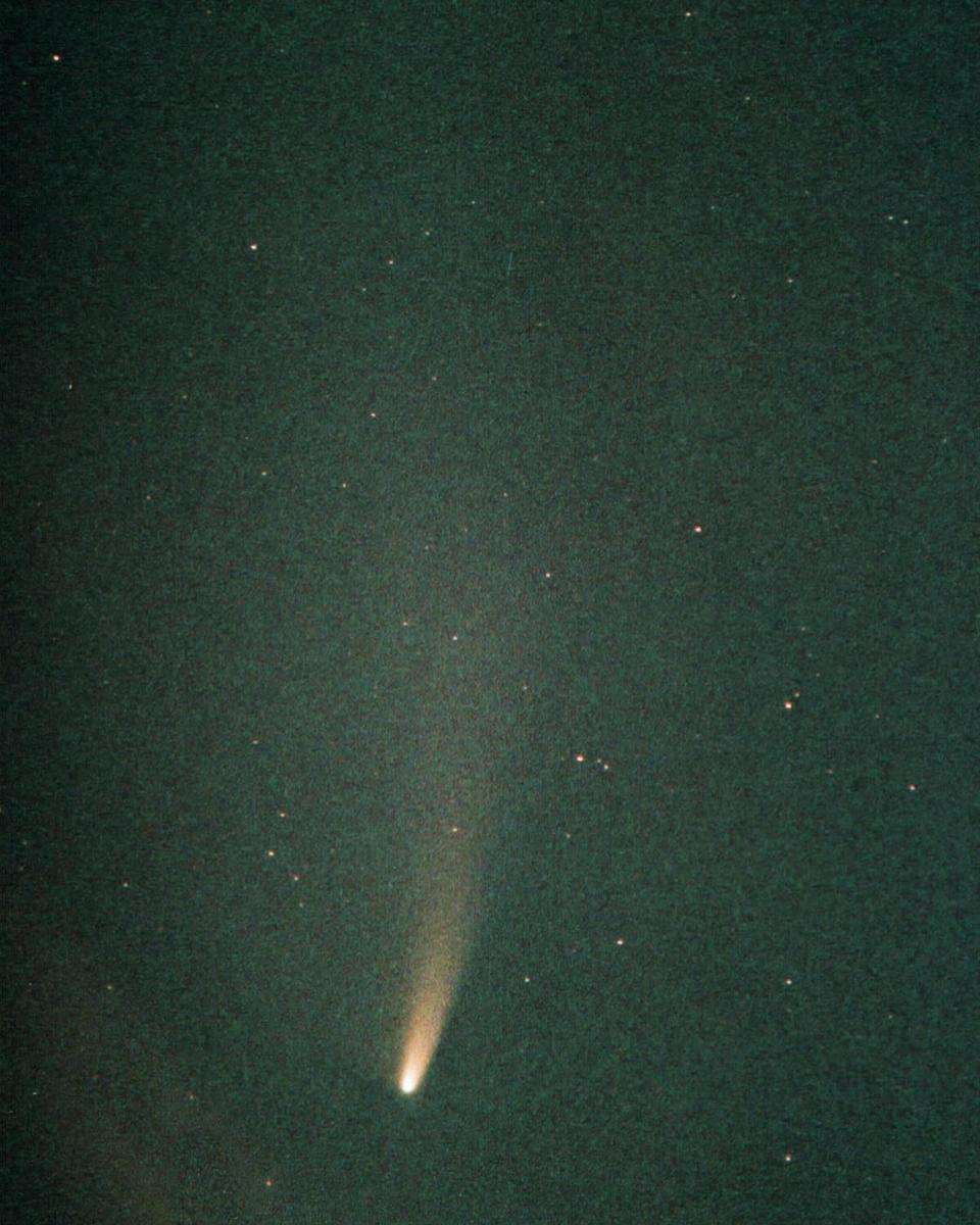 Comet NEAT in Southern Skies