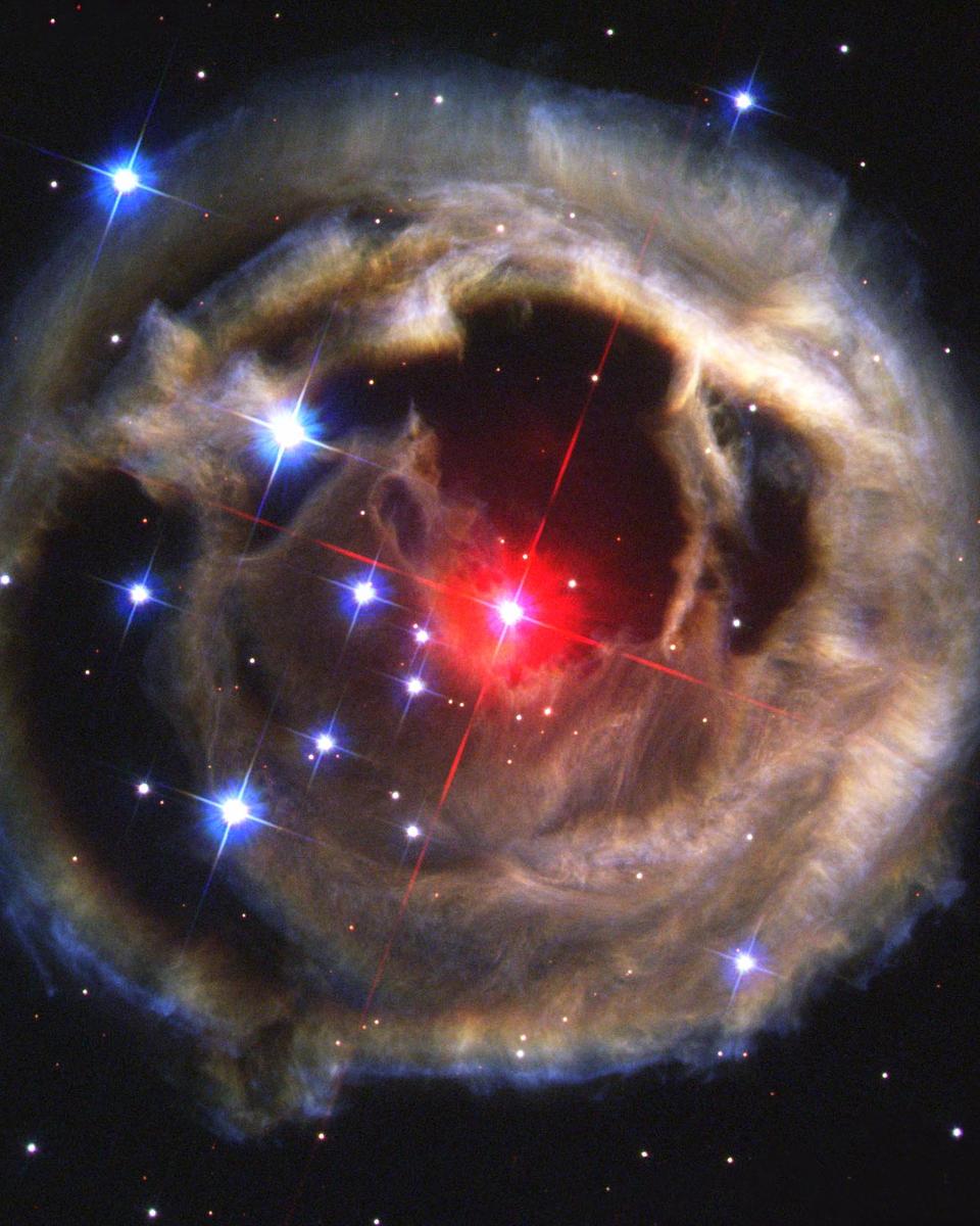 Light Echoes from V838 Mon