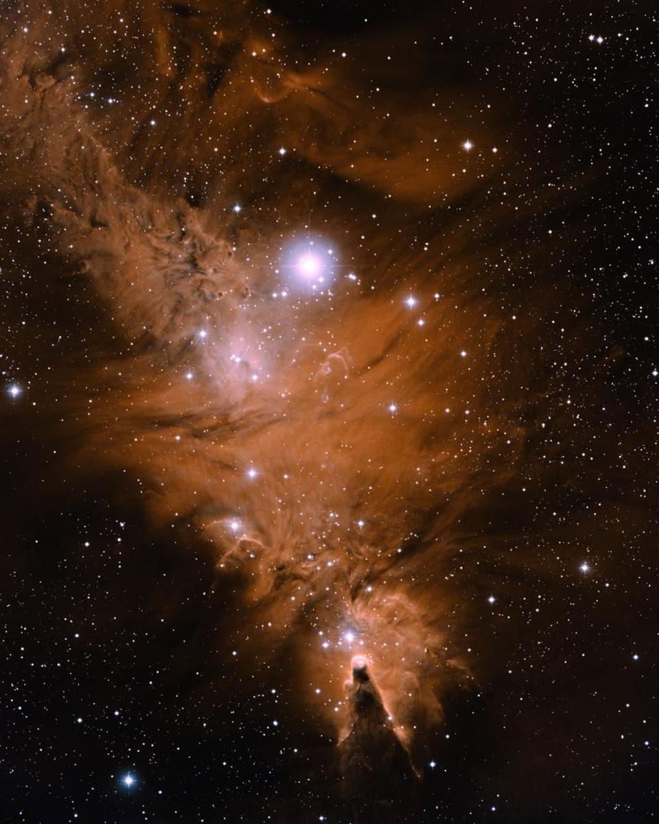 In the Vicinity of the Cone Nebula