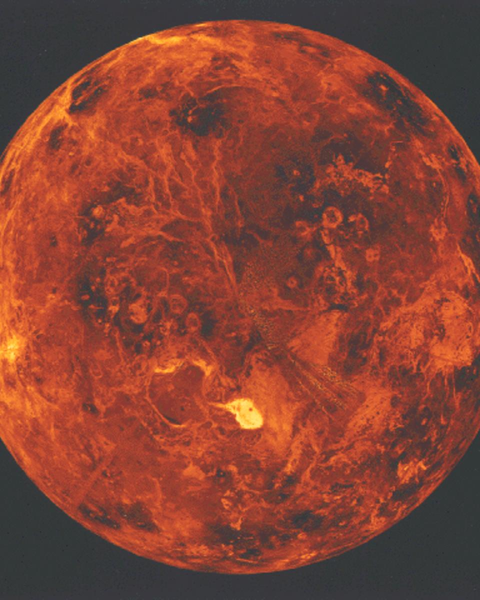 The North Pole of Venus