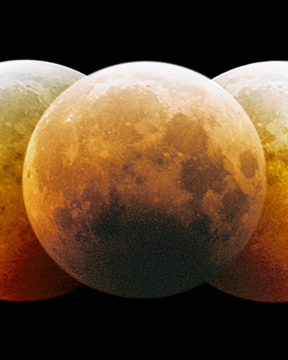 Eclipsed Moon Montage