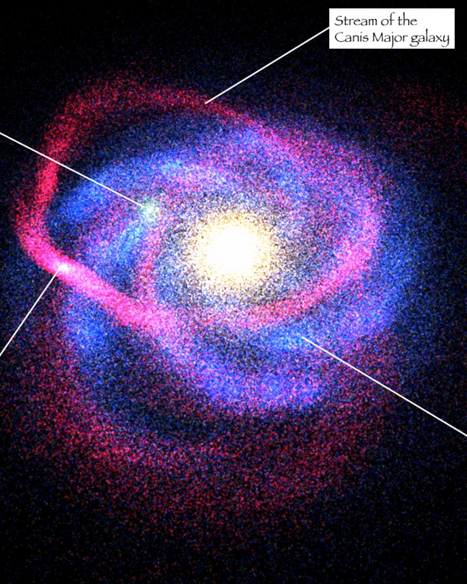 Canis Major Dwarf: A New Closest Galaxy