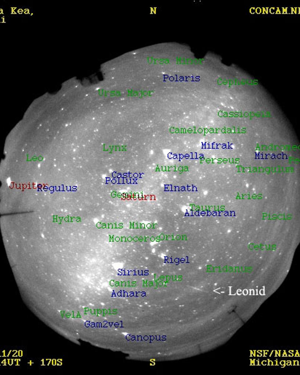 A Late Leonid from a Sparse Shower