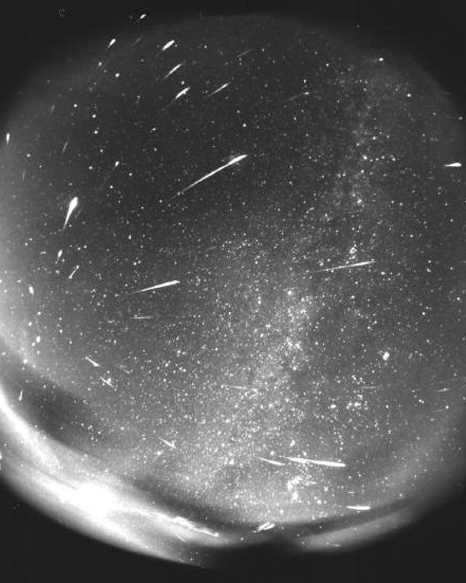 Leonids from Leo