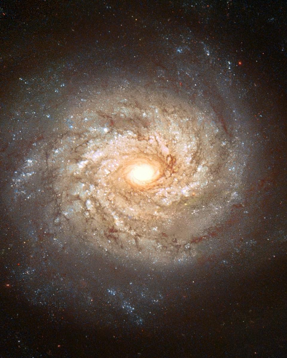 Spiral Galaxy NGC 3982 Before Supernova