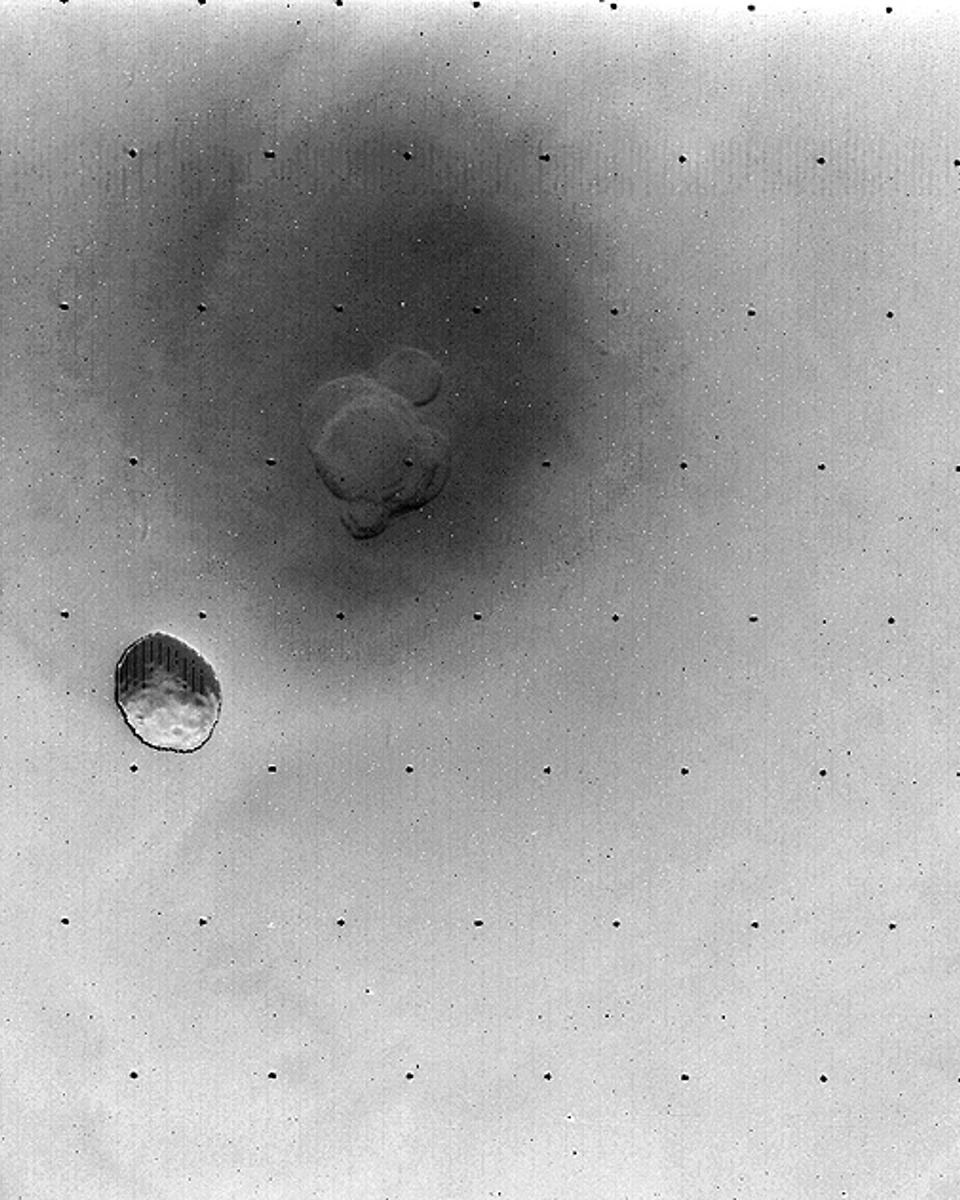 Phobos Over Mars