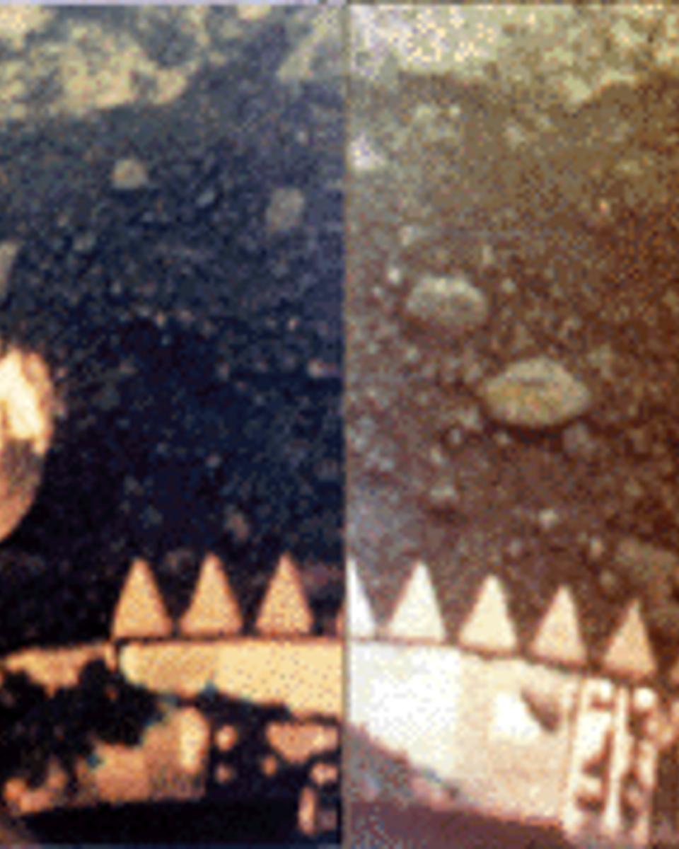 A Venus Landing