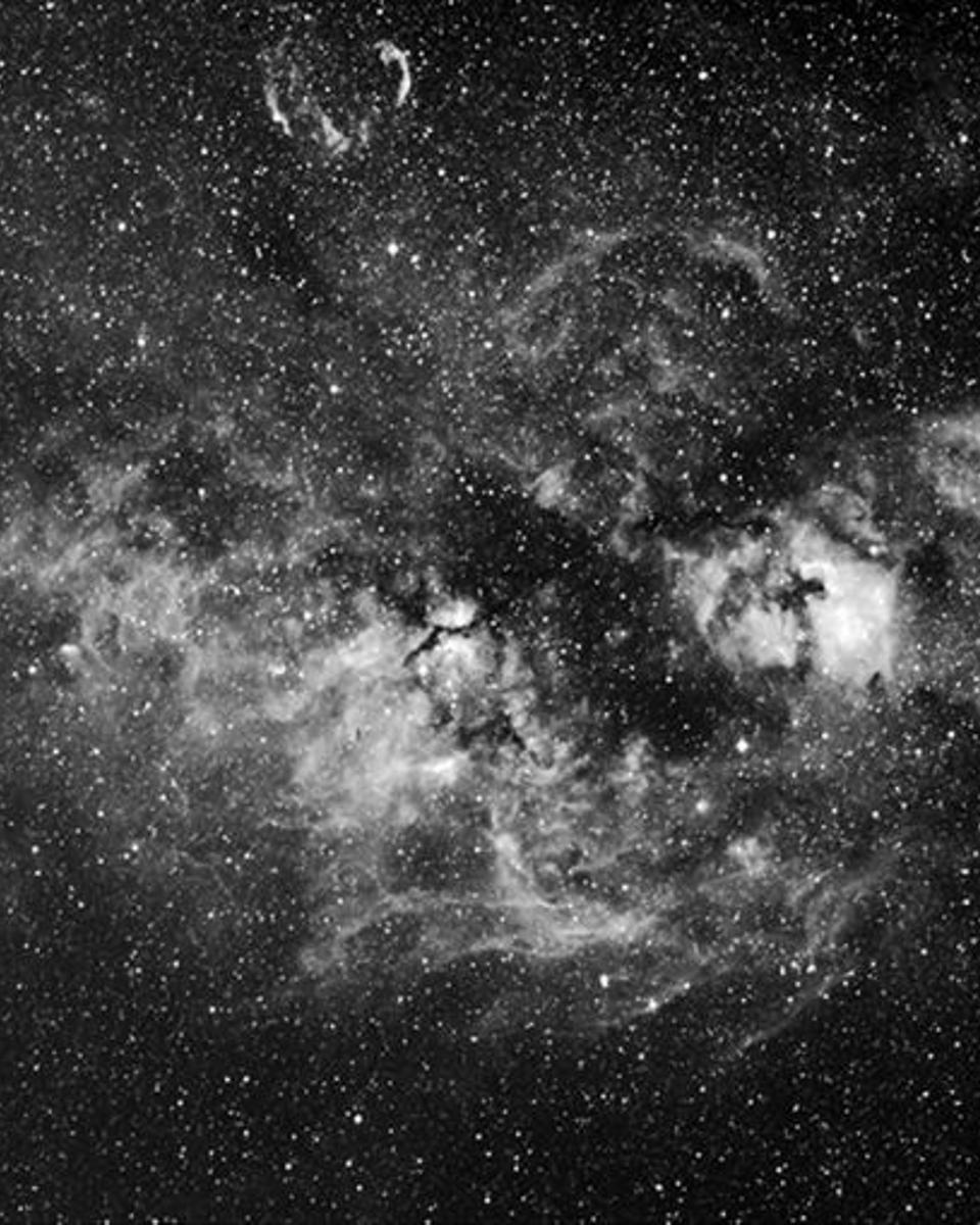Cygnus Nebulosities