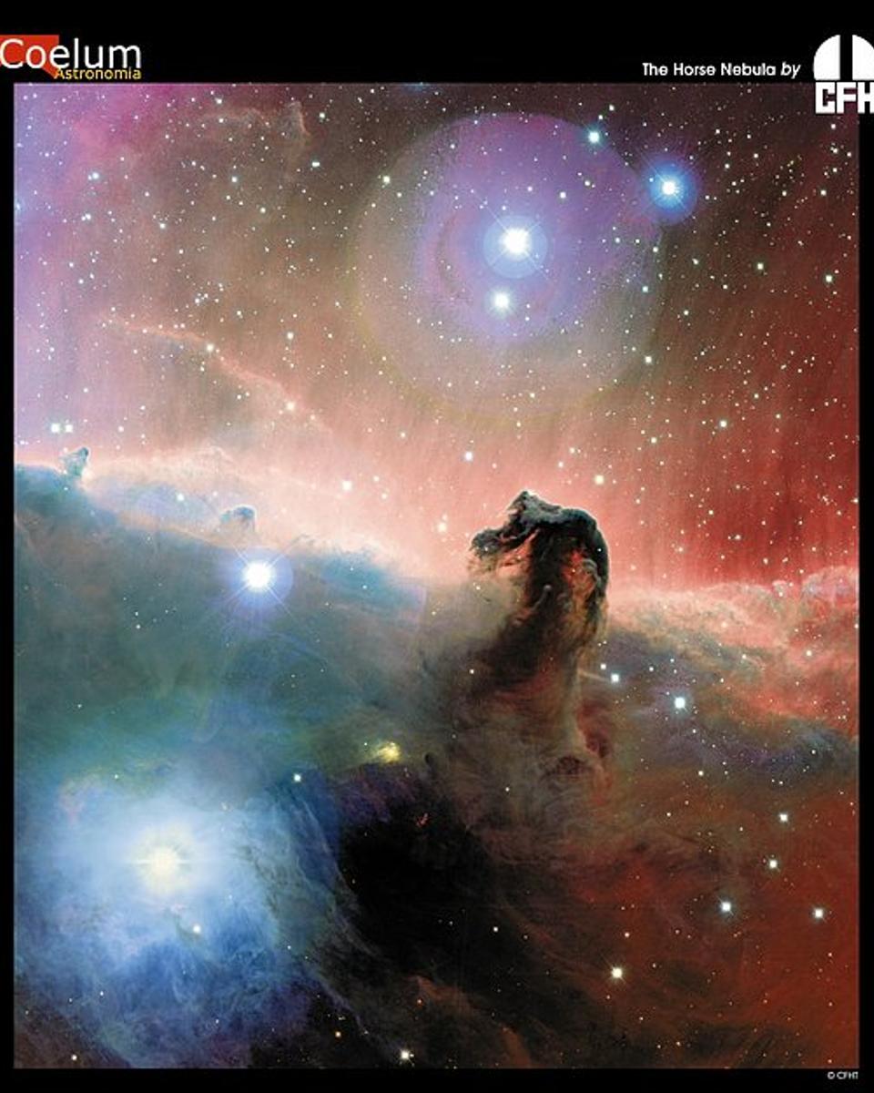 The Colorful Horsehead Nebula