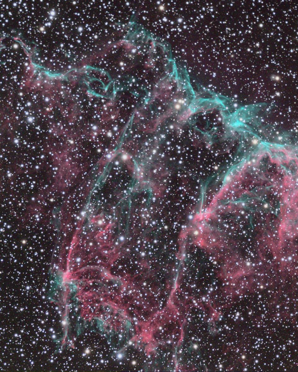 IC1340 in the Eastern Veil