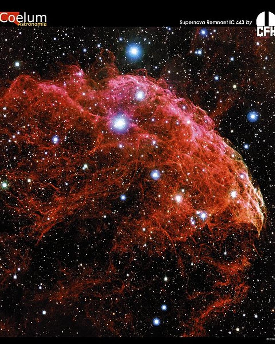 Galactic Supernova Remnant IC 443