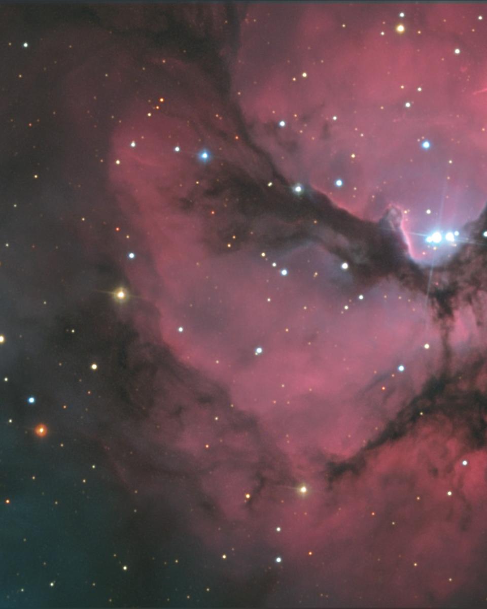 A Beautiful Trifid