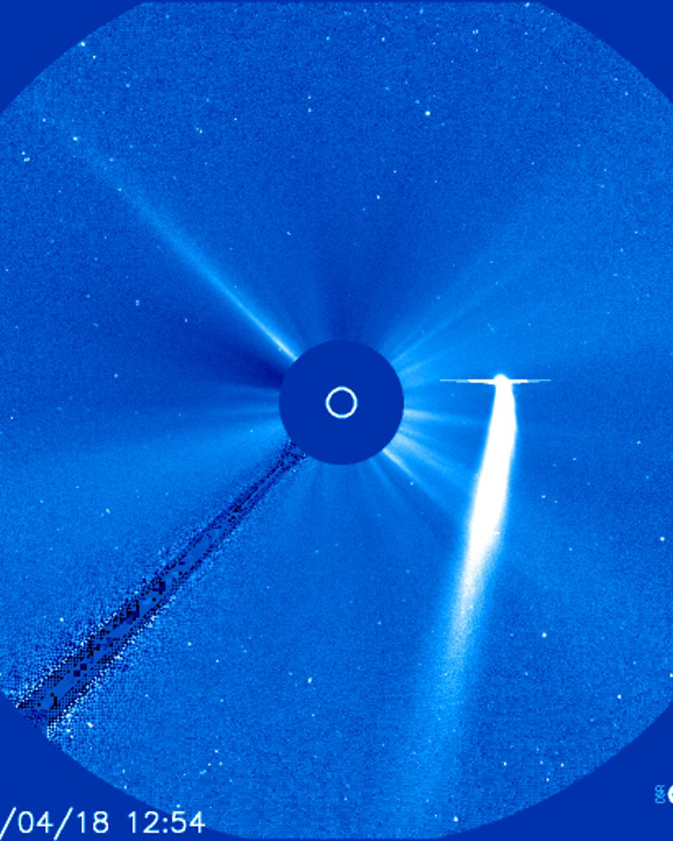 Comet Bradfield Passes the Sun