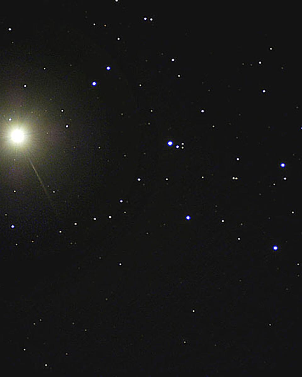 Venus and the Pleiades